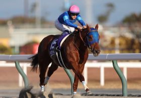 主戦騎手「ダートでもっと凄いかも」エルコンドルパサー以来の超大物が緊急参戦。全国の競馬ファンが「初ダートの馬」を1番人気に推して15着大敗。G1馬3頭で10万馬券…2013年の「狂騒曲」