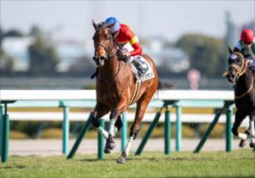 【共同通信杯】ジャンタルマンタルはマスクトディーヴァと同じ危険な人気馬!? 気になる社台レースホースの先読み戦略と意外な逆転候補