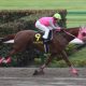 【フェブラリーS】三冠馬の主戦はなぜ「最低人気馬」を選択したのか?「何だか勘違いされてる方いるみたい」渦中の調教師が憶測に反論