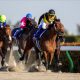 【フェブラリーS】三冠馬の主戦はなぜ「最低人気馬」を選択したのか?「何だか勘違いされてる方いるみたい」渦中の調教師が憶測に反論