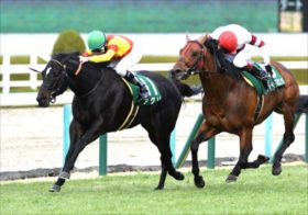 「13番人気の武豊は買い！」意外なデータで判明した天才騎手の攻略法。阪急杯もフェブラリーSに続く100万馬券？