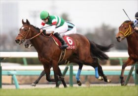 【弥生賞】競馬界のタブーを破る陣営の本音を公開！絶好調レジェンド武豊騎手が9勝目を狙うサンライズジパングの勝機は？