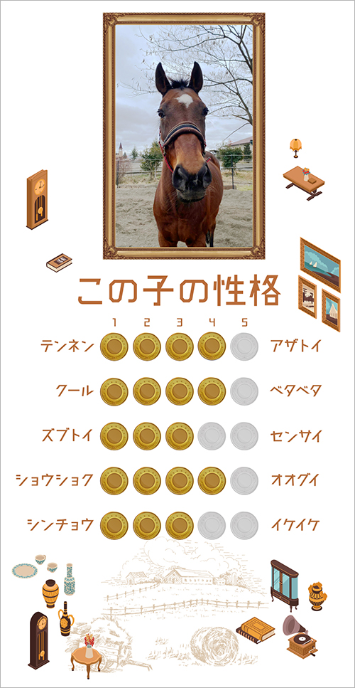 キョウエイアシュラ|\'14 テレ玉杯オーバルスプリントを制した歴戦の猛者は、大自然の中で乗馬ライフを謳歌中!の画像1