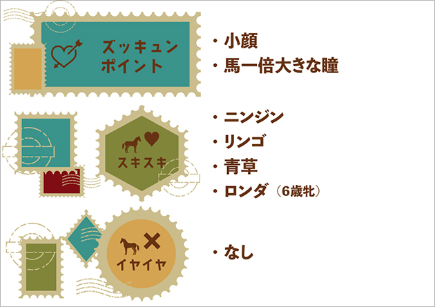 キョウエイアシュラ|\'14 テレ玉杯オーバルスプリントを制した歴戦の猛者は、大自然の中で乗馬ライフを謳歌中!の画像1