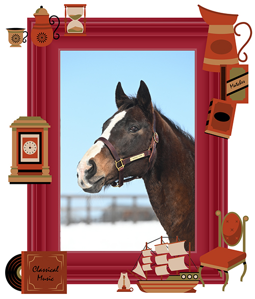 兄はステイゴールド!スイープトウショウも完封したあの馬は、みんなのお母さんに!の画像3