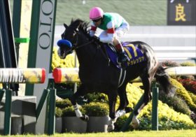 【金鯱賞】現4歳世代の最後の希望ドゥレッツァも不安だらけ？ソールオリエンス、タスティエーラが見せた「最弱世代」の評価を覆せるか？