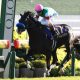 G1で乗り替わる「負の連鎖」からの卒業が課題! C.ルメール、川田将雅や外国人騎手らがライバル…10年目を迎えた有望株が「悲願達成」に決意