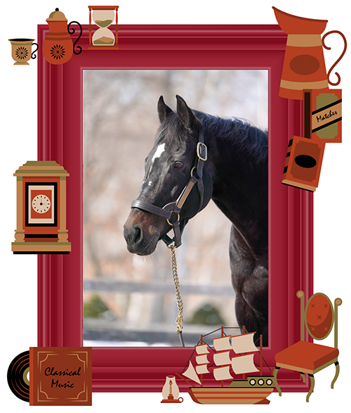 ヴァーミリアン｜08 フェブラリーSを制した砂の王は、ノーザンホースパークで様々な仕事をこなすスーパーホースに！の画像3