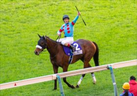 アーモンドアイ姉の「デビュー戦」は15番人気!? 母がG1馬や兄弟にG1馬は養分…プロが語る万馬券を呼び込む競馬の理想と現実とは