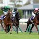 【日経賞(G2)予想】少頭数、道悪の可能性アリで厳選3頭の3連複1点で勝負!