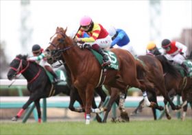 【高松宮記念】ママコチャ、トウシンマカオ、ウインマーベルはまとめて消し？昨年の優勝馬ファストフォース基準で買うべき穴馬とは