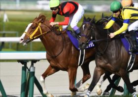 【大阪杯】タスティエーラ、ソールオリエンス、ベラジオオペラは本当に消しなのか？徹底取材で判明した“買える4歳馬と買えない4歳馬”