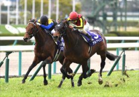 【大阪杯】惨敗！ノーザンファーム崩壊の危機を救うのはタスティエーラかスタニングローズか、それともアルアインに続く意外な伏兵か