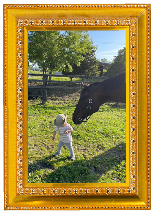 ボンネビルレコードの今的場文男を背にブルーコンコルドやフリオーソらを下した、不屈の帝王！の画像7