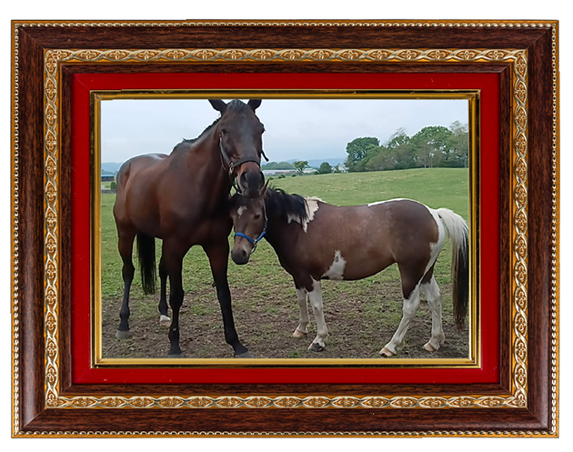 ボンネビルレコードの今的場文男を背にブルーコンコルドやフリオーソらを下した、不屈の帝王！の画像10