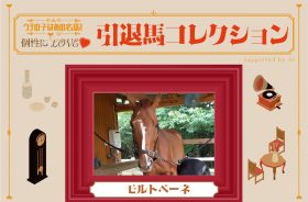 ’17アンタレスS王者の今！ロンドンタウンも破ったディープスカイ産駒は、甘えん坊の功労馬に！