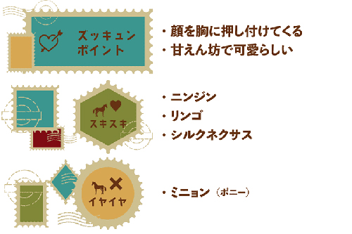 17アンタレスS王者の今！ロンドンタウンも破ったディープスカイ産駒は、甘えん坊の功労馬に！の画像5