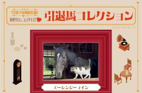 川須栄彦騎手の初重賞制覇を飾った逃げ馬！保護猫30匹と暮らす“猫ざんまい”の余生