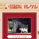 あっさり日本ダービー制覇なら“ナリタブライアン級”の評価も?皐月賞馬ジャスティンミラノに立ちはだかる「2つの壁」とは