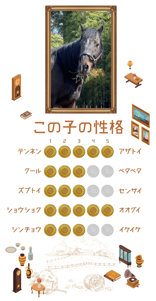 川須栄彦騎手の初重賞制覇を飾った逃げ馬!保護猫30匹と暮らす猫ざんまいの余生の画像4