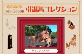 ’15年NHKマイルC覇者の今！父クロフネとの“父子制覇”を成し遂げたクラリティスカイは「群れのリーダー」に！