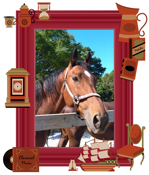 クラリティスカイ