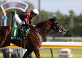 【マイラーズC】2連敗中の川田将雅騎手×セリフォスのコンビ継続に疑問の声？「やっぱりレーンじゃなきゃ」「なぜ藤岡佑介を乗せない？」。一方、逆転を狙うノーマークの穴馬が急浮上！