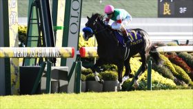 【天皇賞・春（G1）】馬券圏内100％の激走で5万馬券的中!? 四位洋文が福永祐一に授けた「金言」とは… 11番人気2着スティッフェリオにあった鉄板級の法則