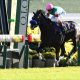 【天皇賞・春】横山典弘「前ポツン」にファンは狂喜乱舞? 20年前の逃亡劇再現あるか……マテンロウレオ陣営も不気味なコメント