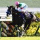 【天皇賞・春】横山典弘「前ポツン」にファンは狂喜乱舞? 20年前の逃亡劇再現あるか……マテンロウレオ陣営も不気味なコメント