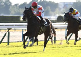 「シャンパンカラーが勝つよ」昨年のNHKマイルCで9番人気の激走を見抜いた“凄腕”が指定したのは、ジャンタルマンタルでもアスコリピチェーノでもないまさかの激走穴馬