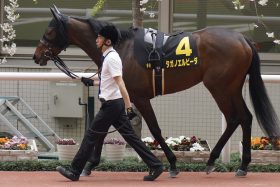 タガノエルピーダ×M.デムーロ「新タッグ」でオークスヘ！「タイトルを獲得したいものと夢見ております」悲願の初G1制覇目指す名オーナーの希望となれるか