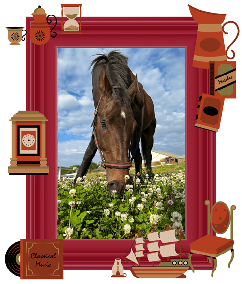 コパノリチャード