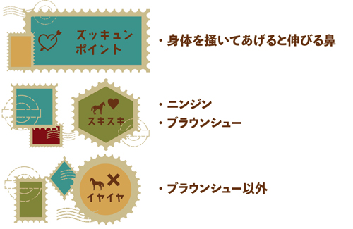 コパノリチャードのズッキュンポイント