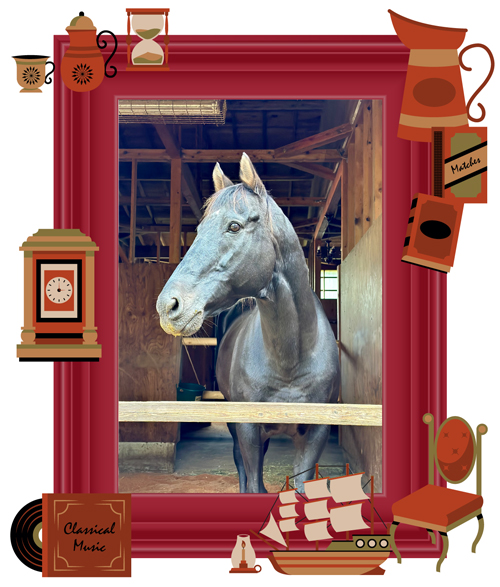 ローレルゲレイロ