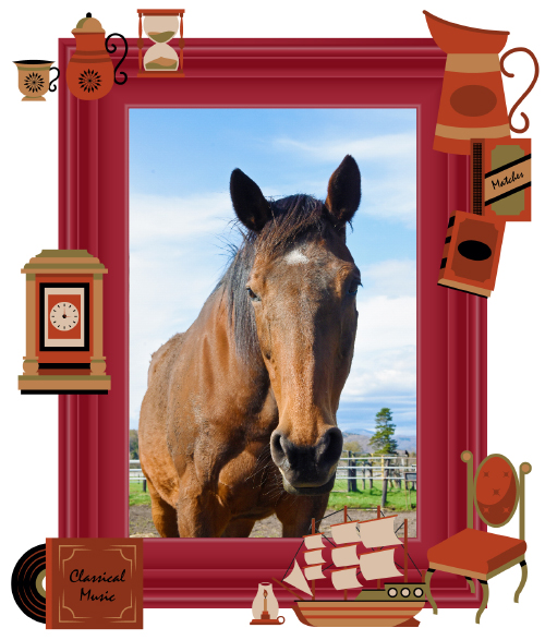 負かした馬たちのG1勝利数は「10」!! スイープトウショウら名馬たちと激戦を繰り広げたあの馬は今…? vol.43の画像2