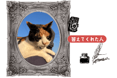 横山典弘騎手と重賞初制覇！富菜牧場の「親分」は、弱きを助け強きを挫く、仔馬たちみんなの“姐さん”に！vol.44の画像1