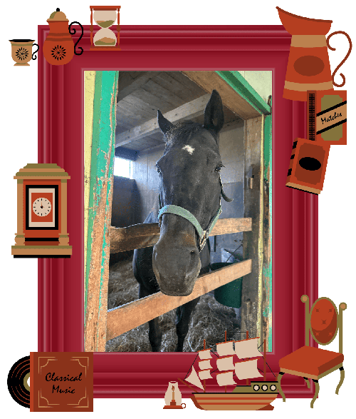 横山典弘騎手と重賞初制覇！富菜牧場の「親分」は、弱きを助け強きを挫く、仔馬たちみんなの“姐さん”に！vol.44の画像1