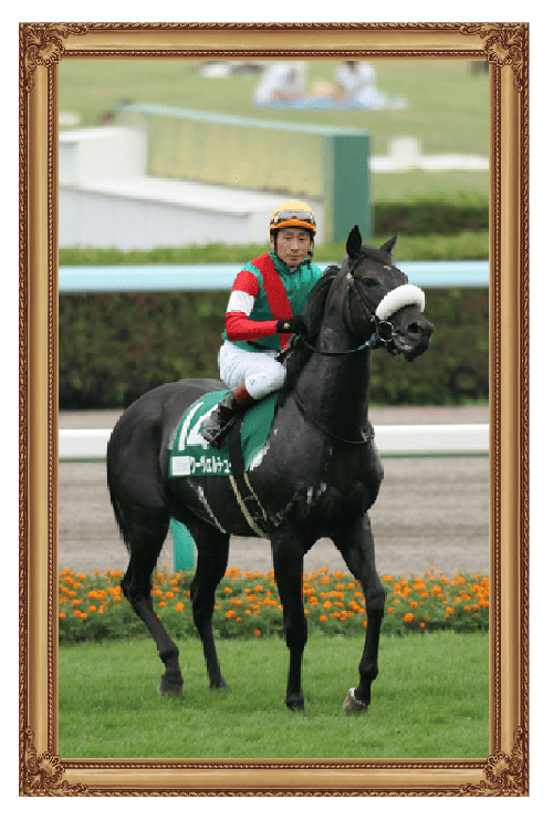 キーンランドC（G3）優勝時のクーヴェルチュール