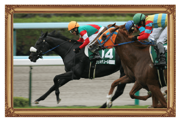 キーンランドC（G3）優勝時のクーヴェルチュール