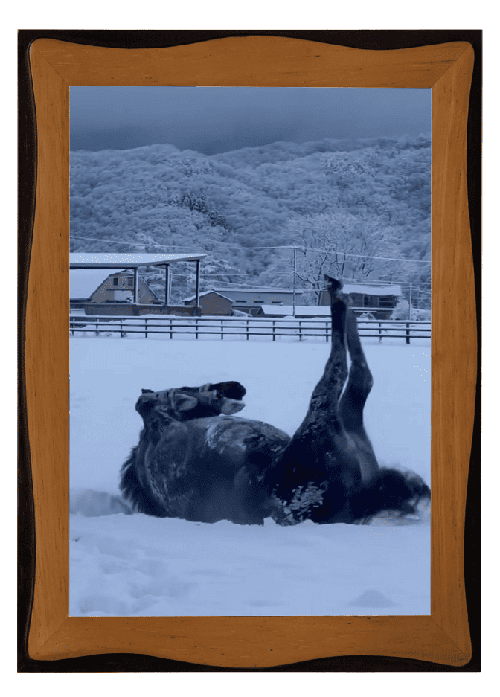 クーヴェルチュール