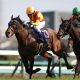 もはや“職人技”とも言われる「競馬実況」…日本ダービー(G1)直前、「名物アナウンサー」によるダービー名実況2選!