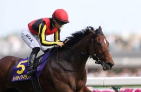 「東京2400mで買うべき馬」これぞダービージョッキーの金言！オークス＆日本ダービーのヒントが満載！ステレンボッシュ、ジャスティンミラノを上回る期待馬がいる！