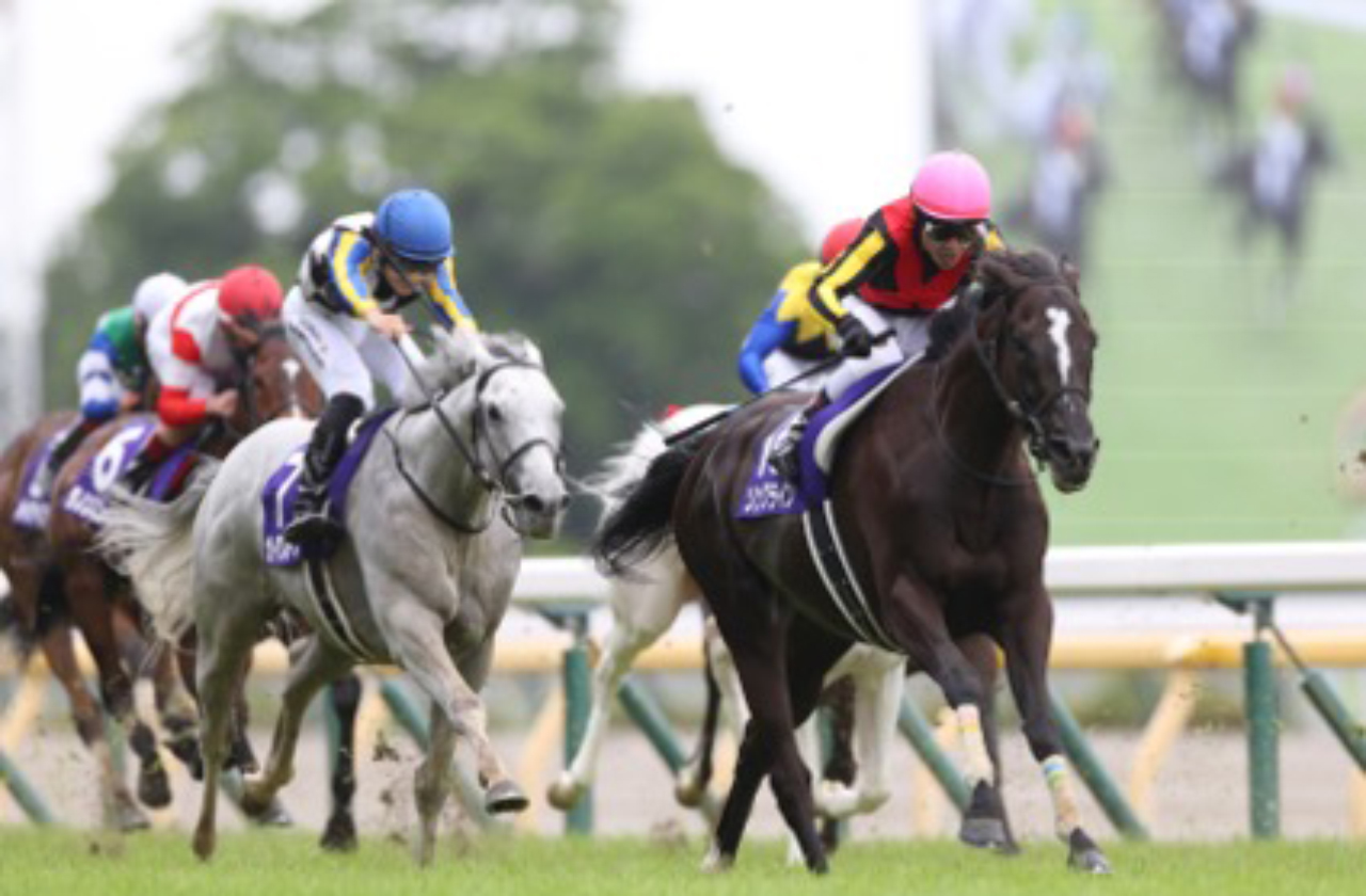 ロマンチックウォリアー 安田記念 競馬の安田記念、ロマンチックウォリアー優勝 GⅠ5連勝 - 日本