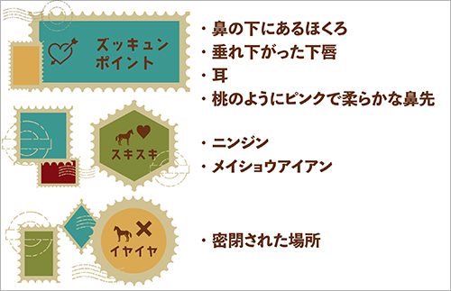 メイショウボーラーのズッキュンポイント