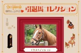 トーセンラー、ダノンバラードを完封！ケガを乗り越えて挑戦を続けた「夏巧者」 vol.45