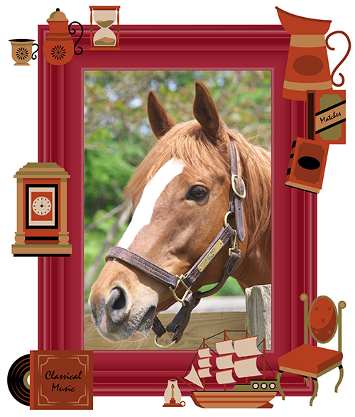 トーセンラー、ダノンバラードを完封！ケガを乗り越えて挑戦を続けた「夏巧者」 vol.45の画像2