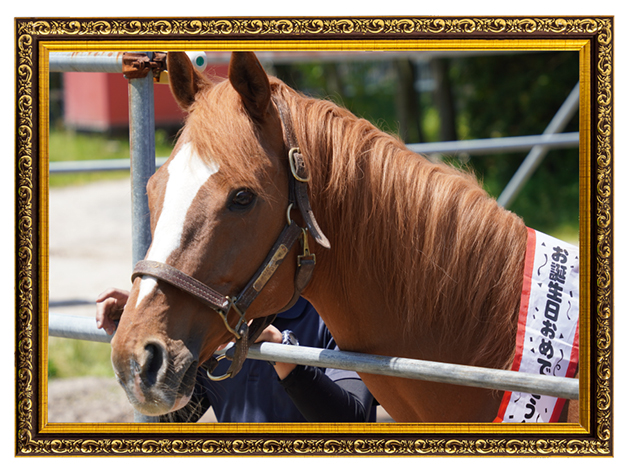 エクスペディションの誕生日会