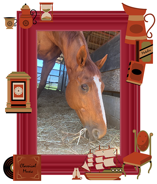 ホワイトストーンを輩出した老舗牧場の新星！名馬の登竜門・ユニコーンSを制したトップオブワールドvol.47の画像2