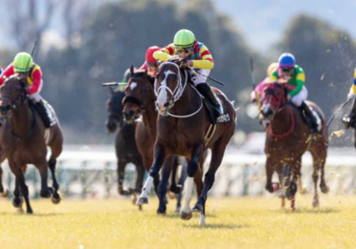 武豊騎手とゾンニッヒはここで買い？“夏競馬には勝ち方がある”函館スプリントS必勝法！ | GJ